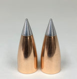 .45 cal 270gr Match/Hunter E-MAX